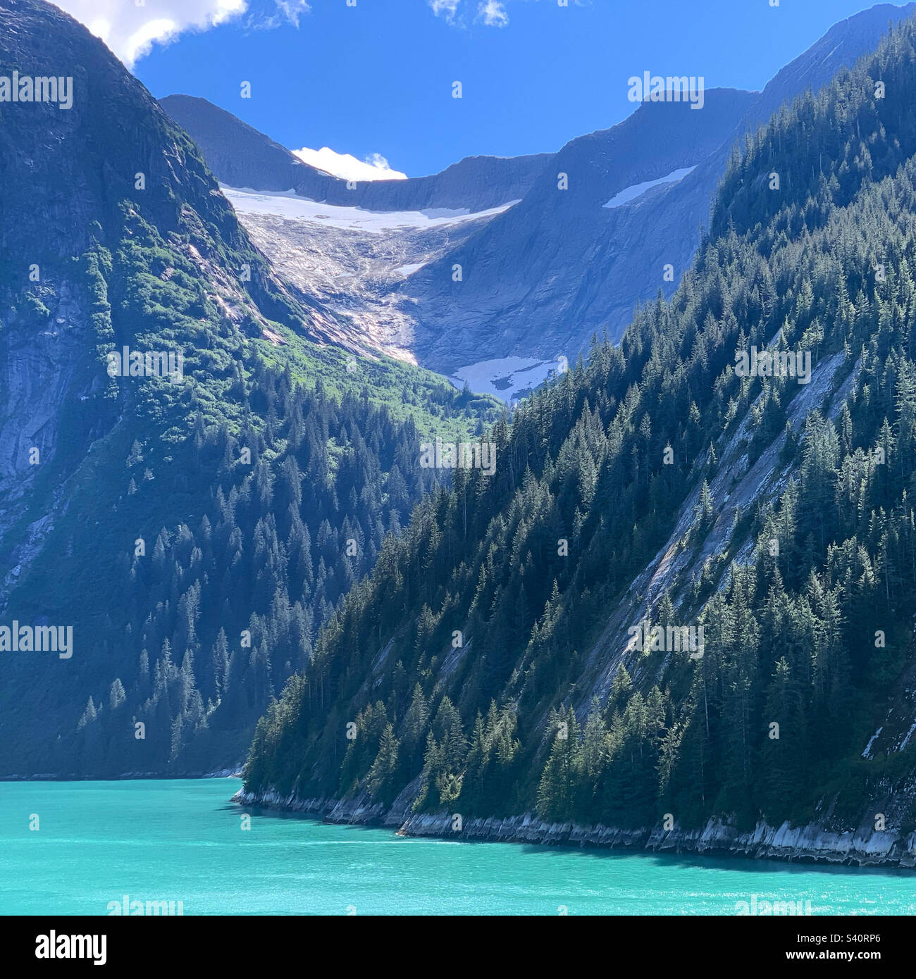 August, 2022, view from a cruise ship as it sails through Tracy Arm Fjord, Alaska, United States - Smartphone Captured Stock Image