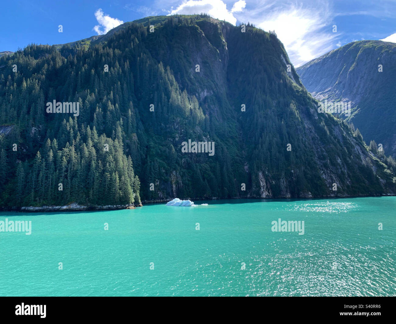 August, 2022, view from a cruise ship as it sails through Tracy Arm Fjord, Alaska, United States - Smartphone Captured Stock Image