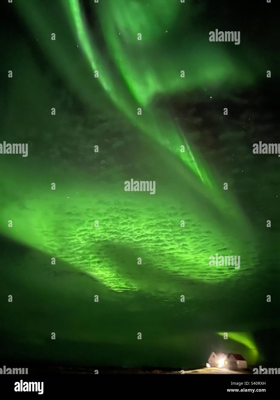 Northern Lights in Iceland Stock Photo Alamy