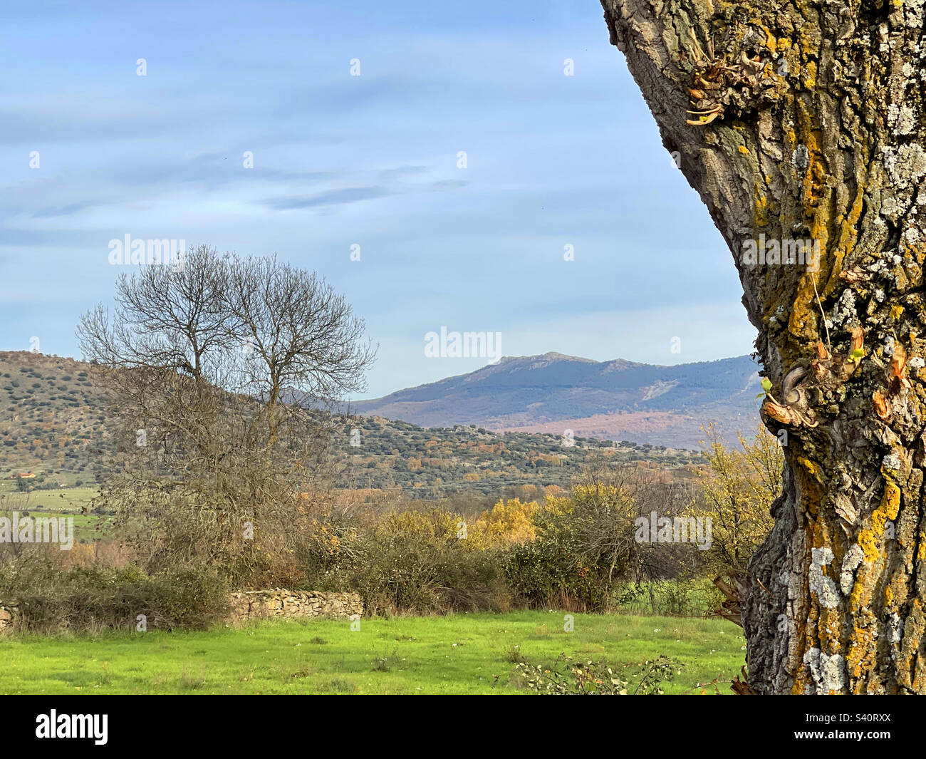 Landscape. Sierra del Rincon Biosphere Reserve, Madrid province, Spain. - Smartphone Captured Stock Image