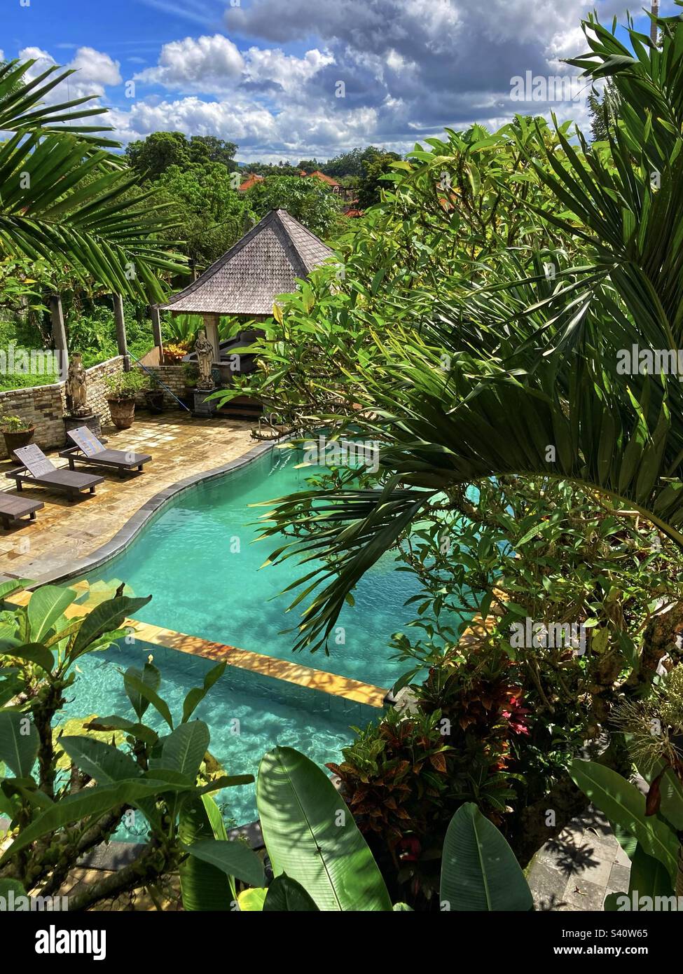Tropical view of pool in Ubud Bali - Smartphone Captured Stock Image