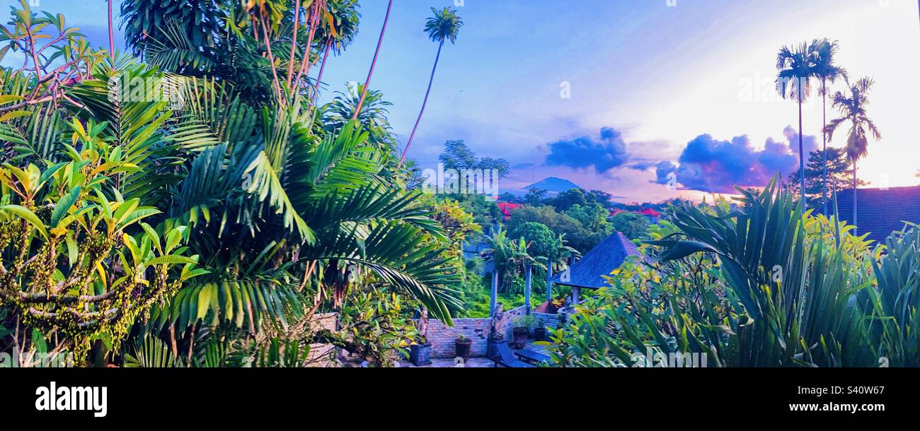 Morning tropical view from hotel balcony in Ubud Bali - Smartphone Captured Stock Image