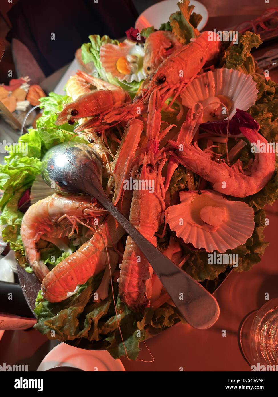 Delicious sea food; High end cuisine; Fish; Food photography - Smartphone Captured Stock Image