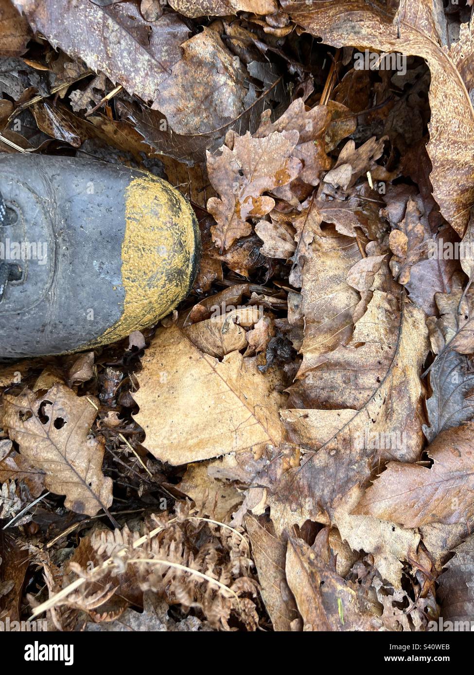 Muddy winter walks - Smartphone Captured Stock Image