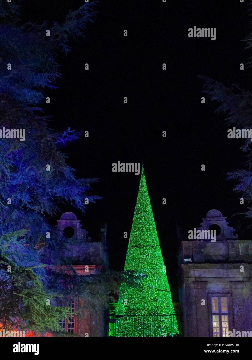 Christmas tree at longleat Stock Photo Alamy