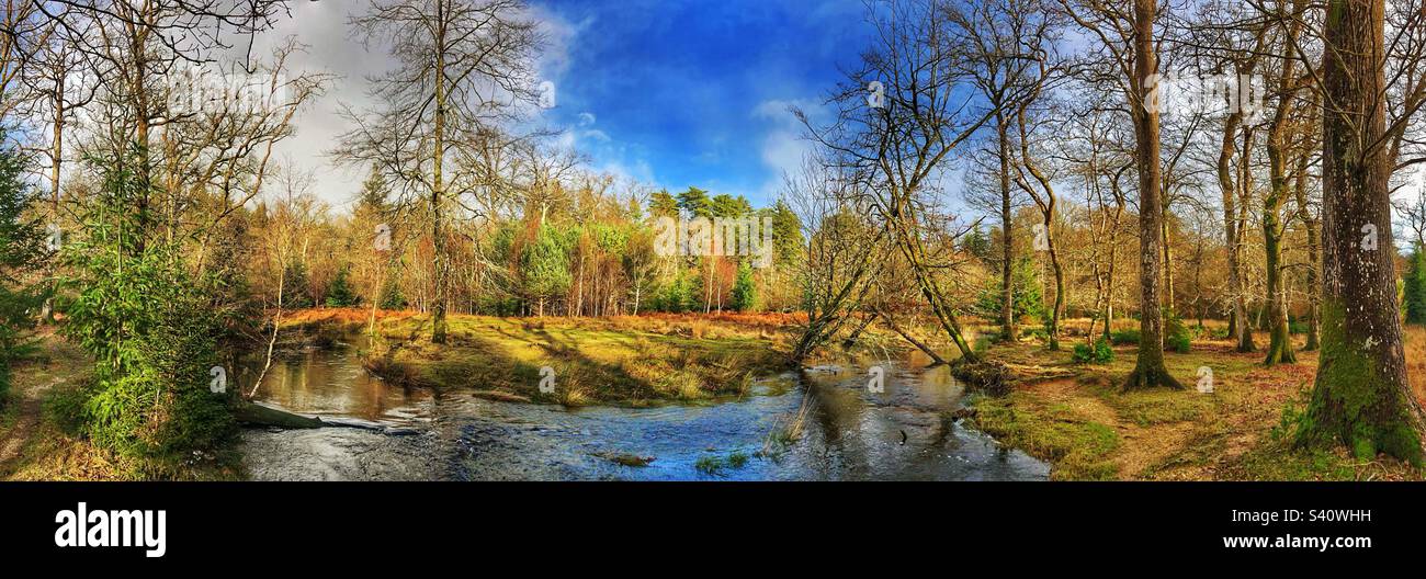 Blackwater stream in January at the New Forest National Park Hampshire United Kingdom - Smartphone Captured Stock Image