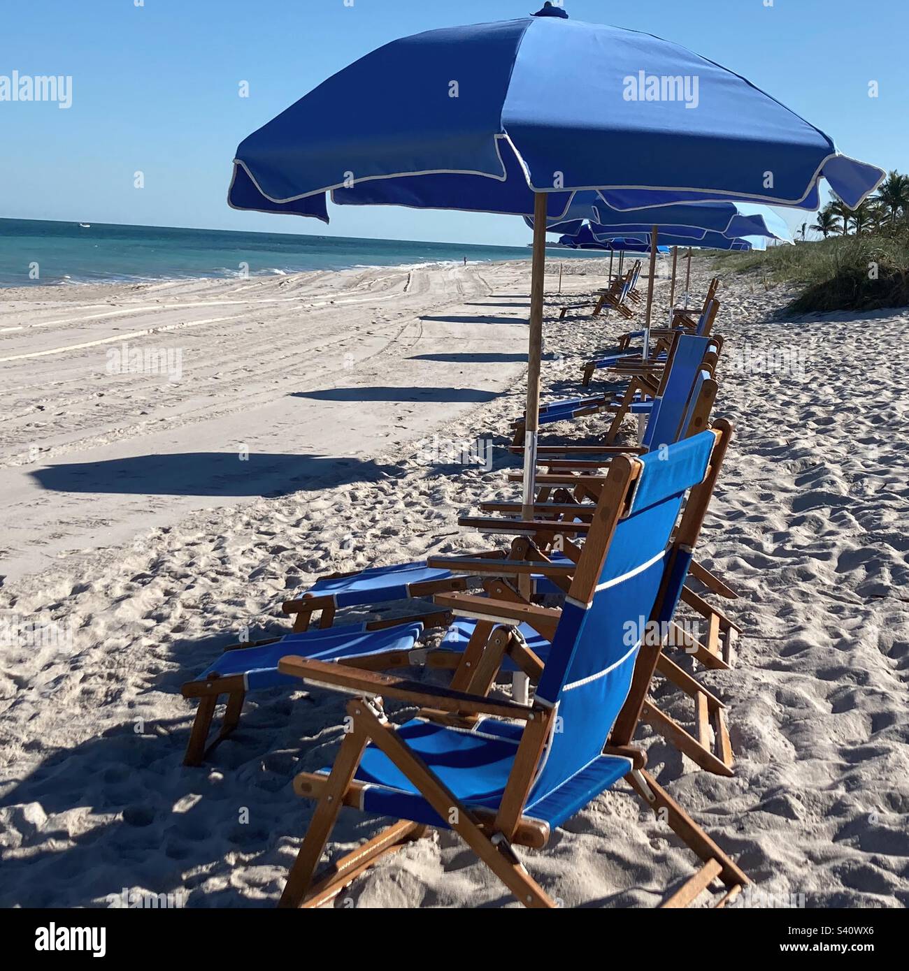 Umbrella and chairs for rent on the beach in straight line Stock Photo
