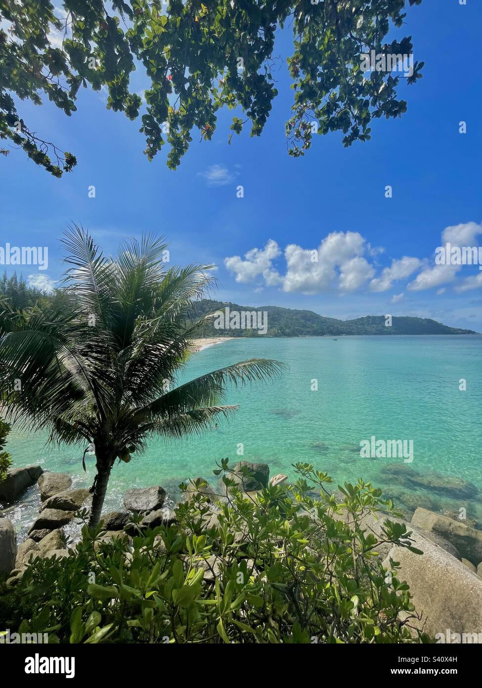 Turquoise seas, a palm tree and a clear blue sky seen at Kata Noi Beach in Phuket, Thailand. Stock Photo