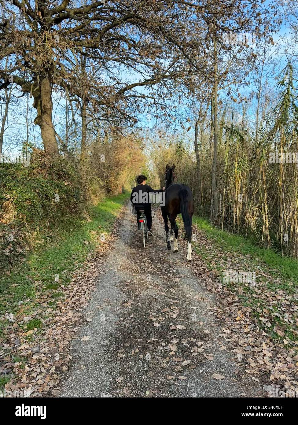 Going back home with a horse - Smartphone Captured Stock Image