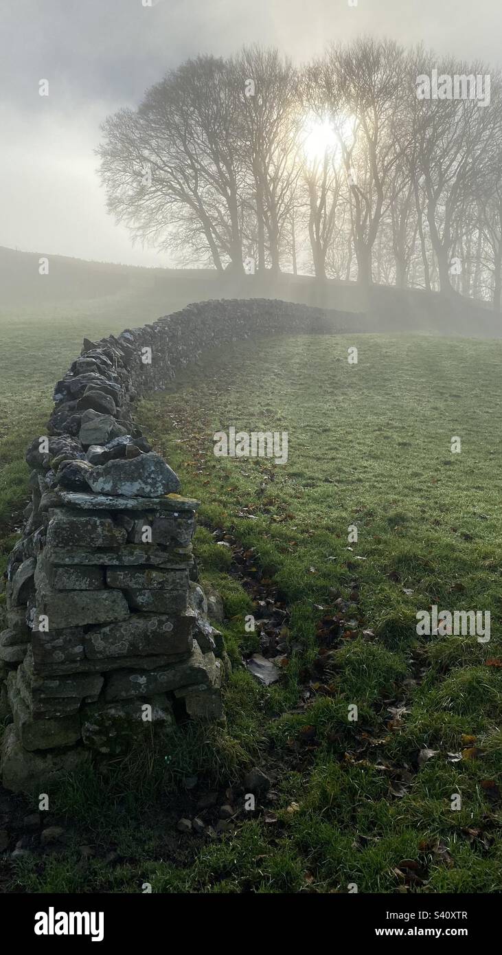 A low sun breaking through the trees and fog on a winters day near Hawes in the Yorkshire Dales, North Yorkshire, England. - Smartphone Captured Stock Image