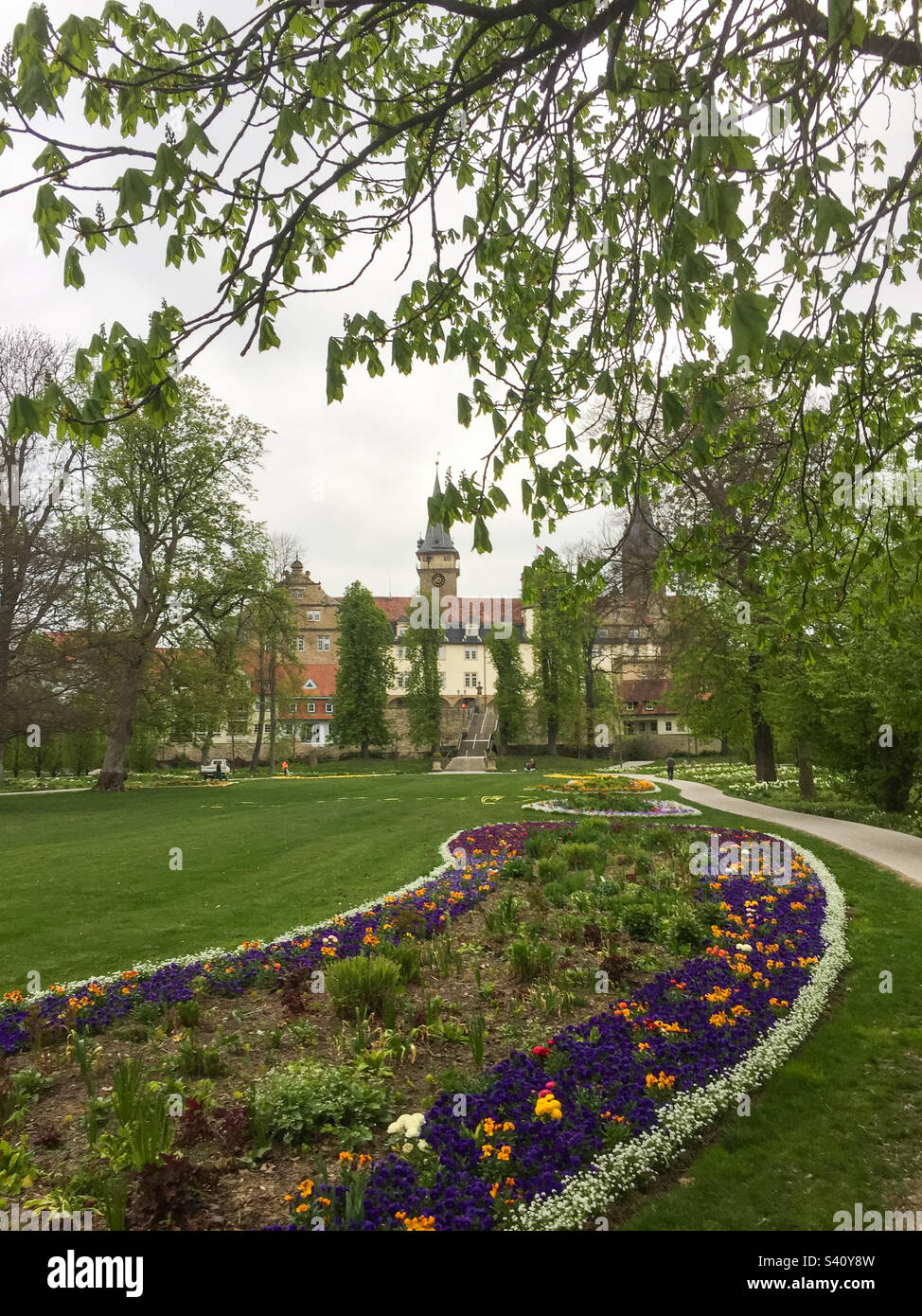 Beautiful spring flower bed in a public park in Oehringen Germany - Smartphone Captured Stock Image