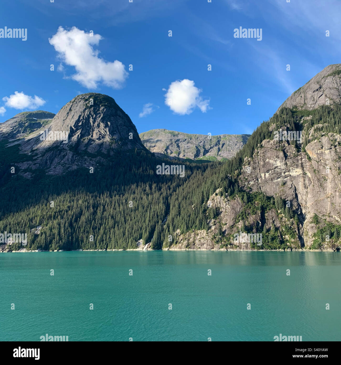 Tracy Arm Fjord, Alaska, United States - Smartphone Captured Stock Image