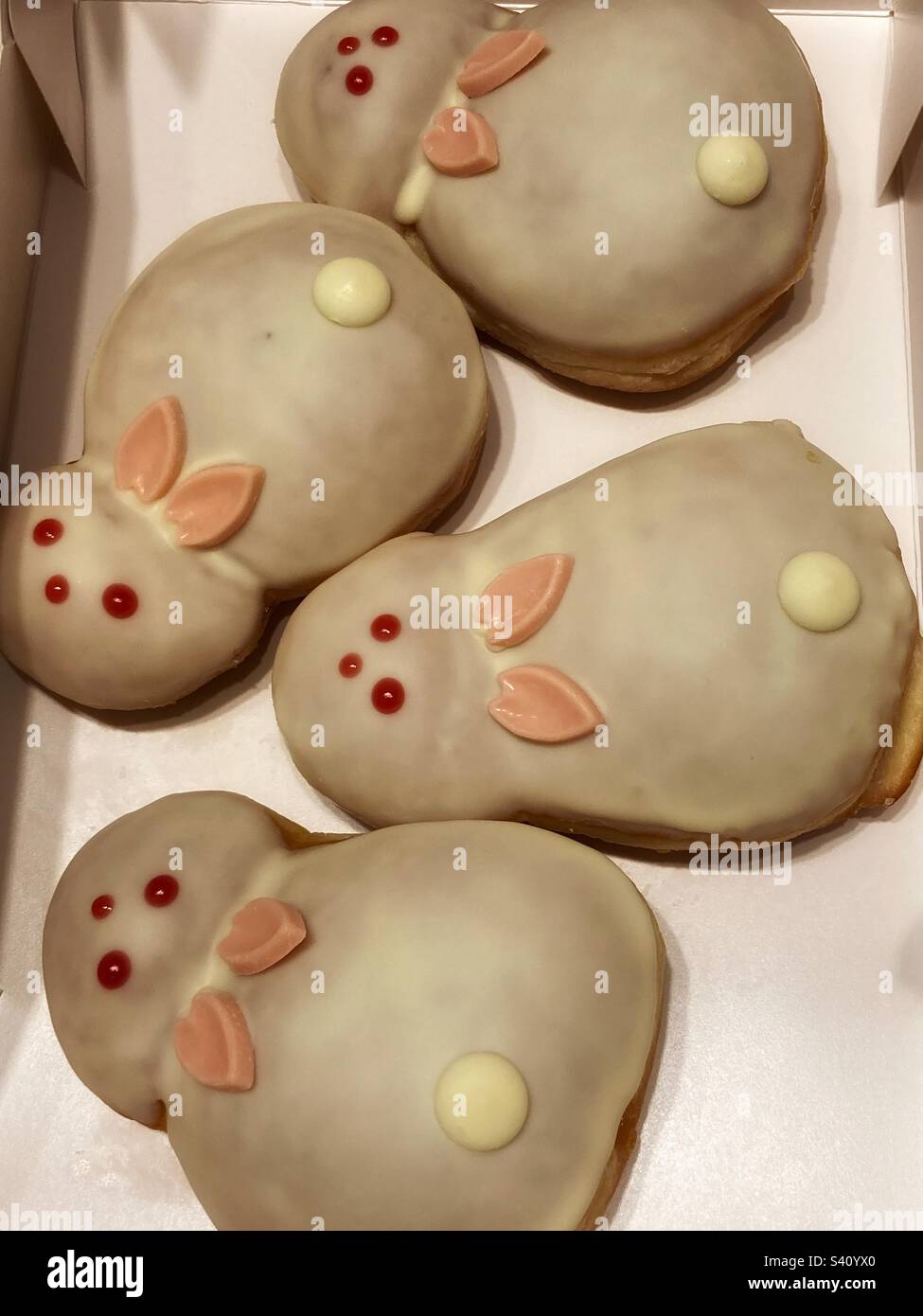 Rabbit shaped donuts by Krispy Kreme in Japan to celebrate the year of the rabbit 2023 Stock Photo