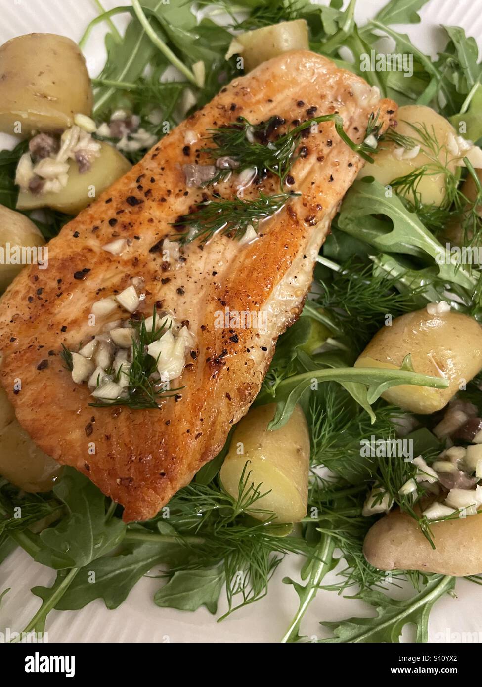 Close up of a one dish meal of salmon fillet in a lemon dill sauce on a bed of new potatoes and arugula, 2023, USA - Smartphone Captured Stock Image