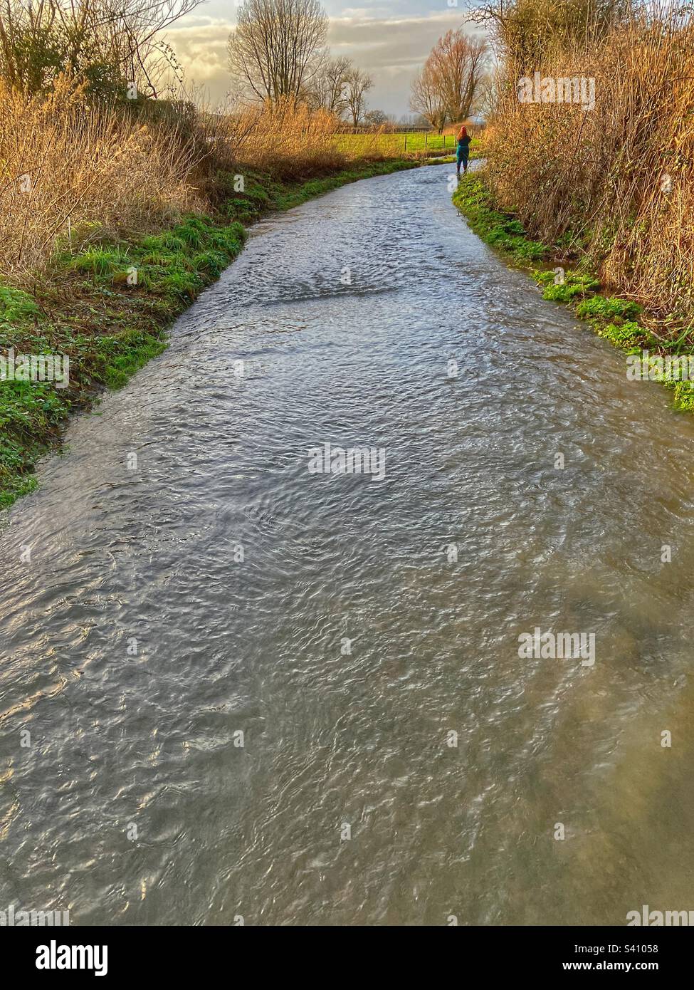 Flooded lane in winter after heavy rainfall, East Chinnock, Somerset, England Stock Photo