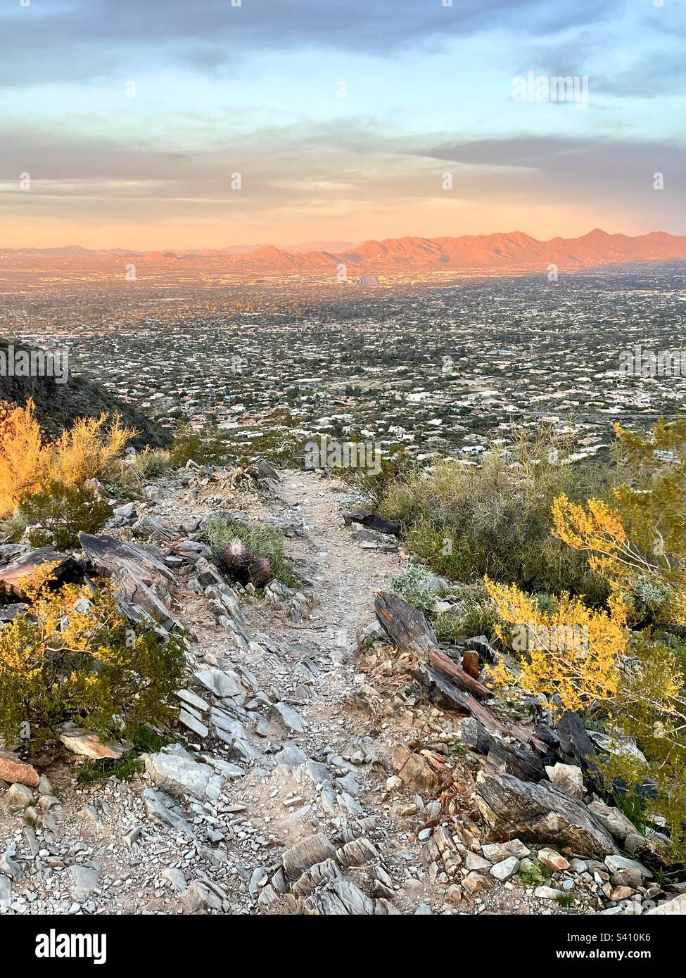 Mountain Top Trail Between Bushes Glowing With Setting Sun Light Leads