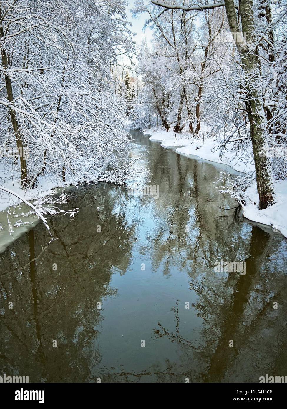 Wintertime - Smartphone Captured Stock Image