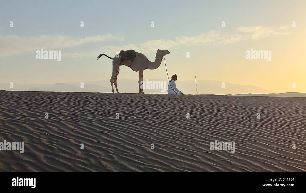 Prayer time: with camel respecting its rider’s worshipping - Smartphone Captured Stock Image