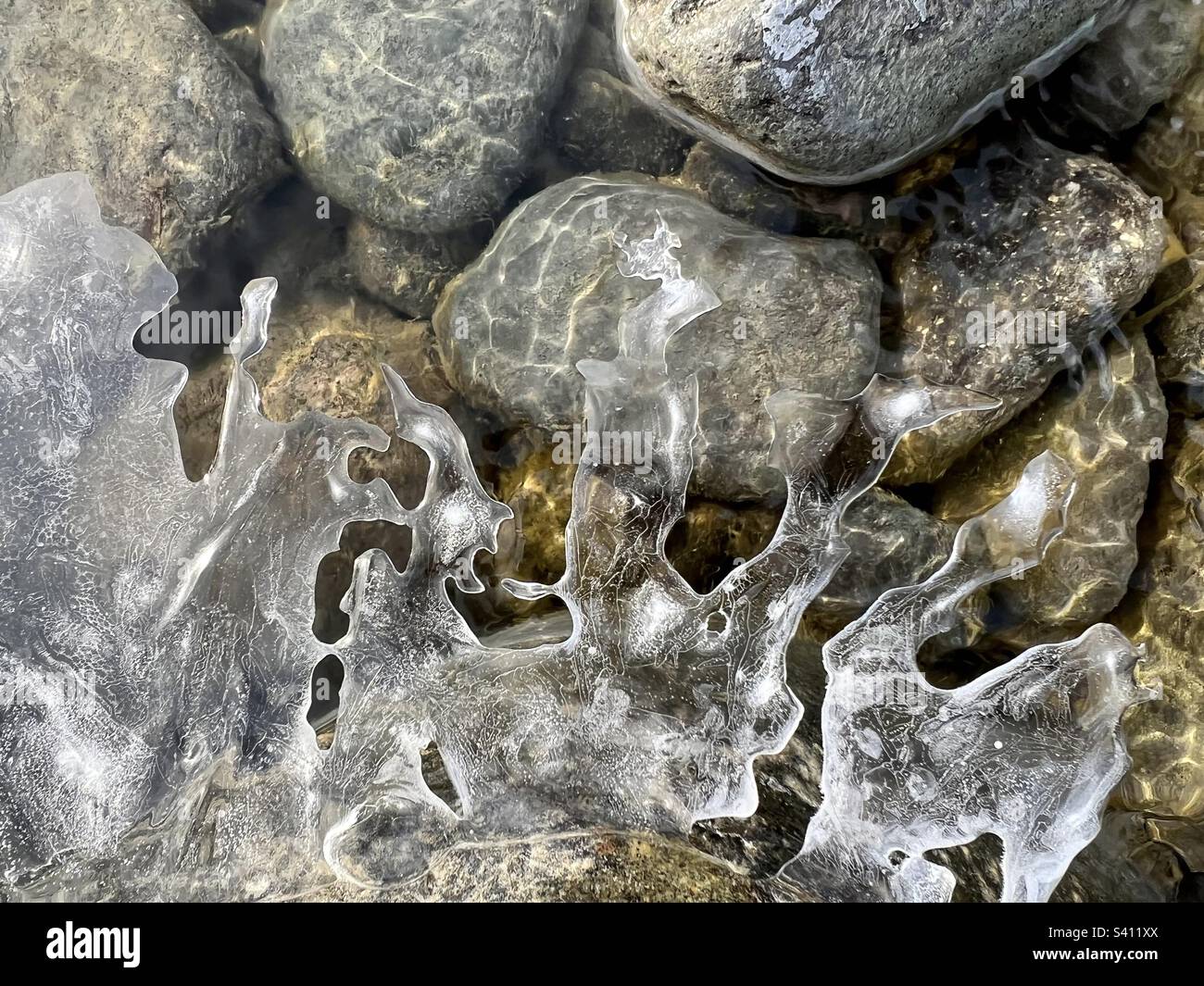 Filigree ice sculptures in a river with the sun reflecting on rocks beneath. The ice formations beautifully demonstrate nature’s elegance. Stock Photo