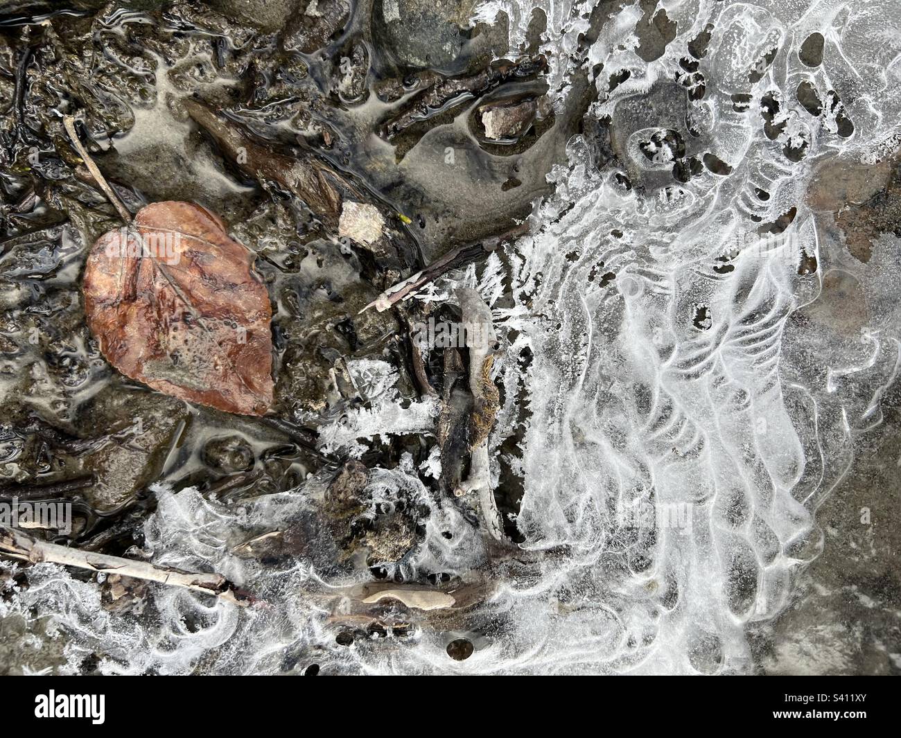 Filigree ice sculptures in a river with sand and brown autumn leaf The ice formations beautifully demonstrate nature’s elegance - Smartphone Captured Stock Image