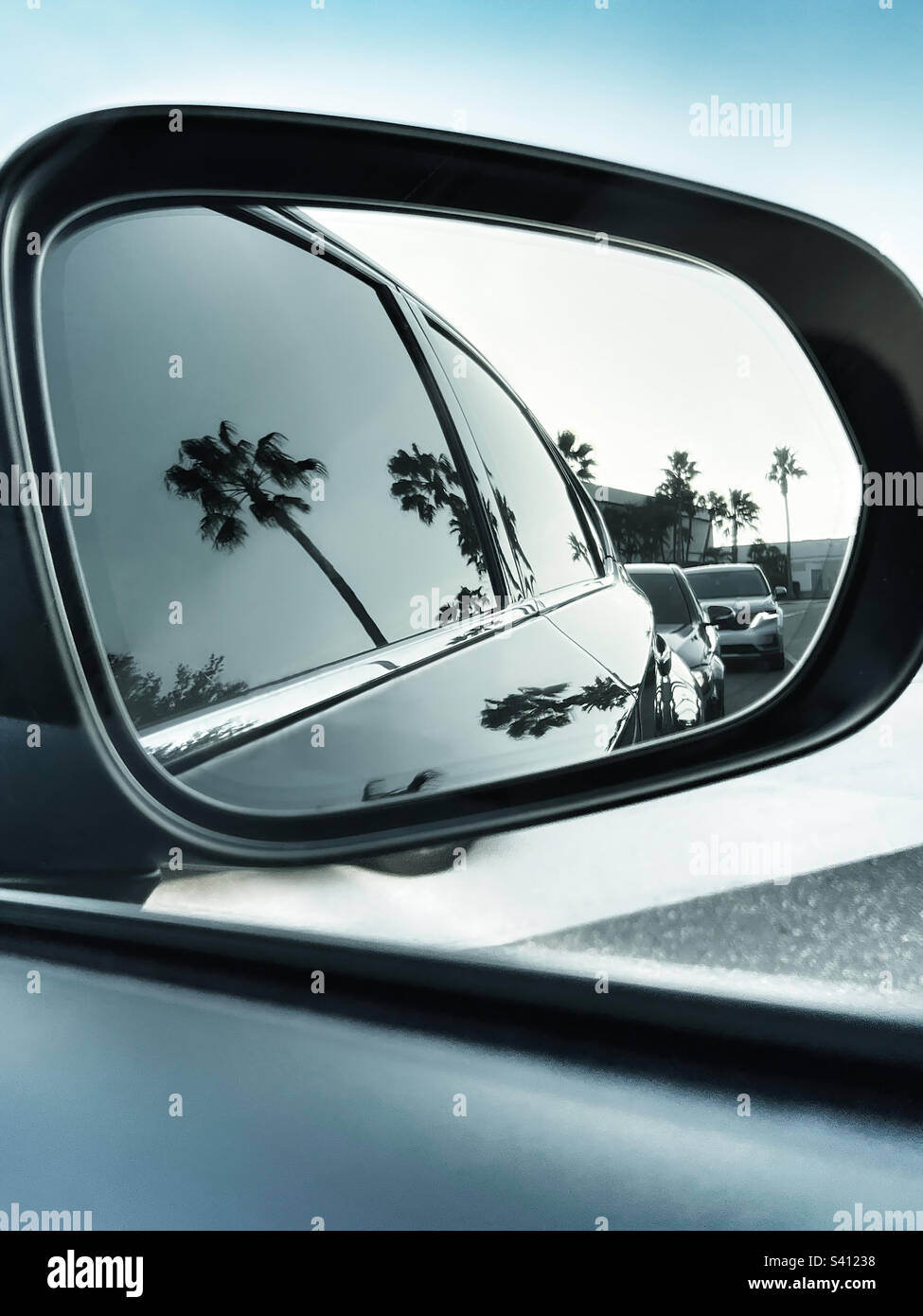 Palm tree reflection in car rear view mirror Stock Photo
