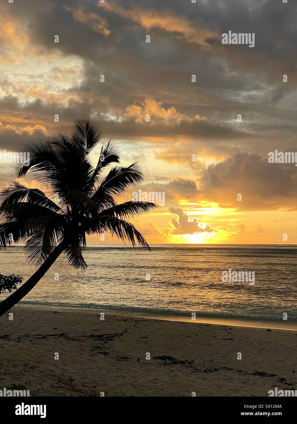 A silhouette of a palm tree at sunset on a tropical island. Tavarua Island Resort, Fiji. - Smartphone Captured Stock Image