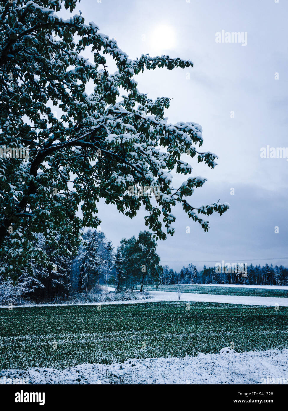 Beautiful and snowy winter hi-res stock photography and images - Alamy