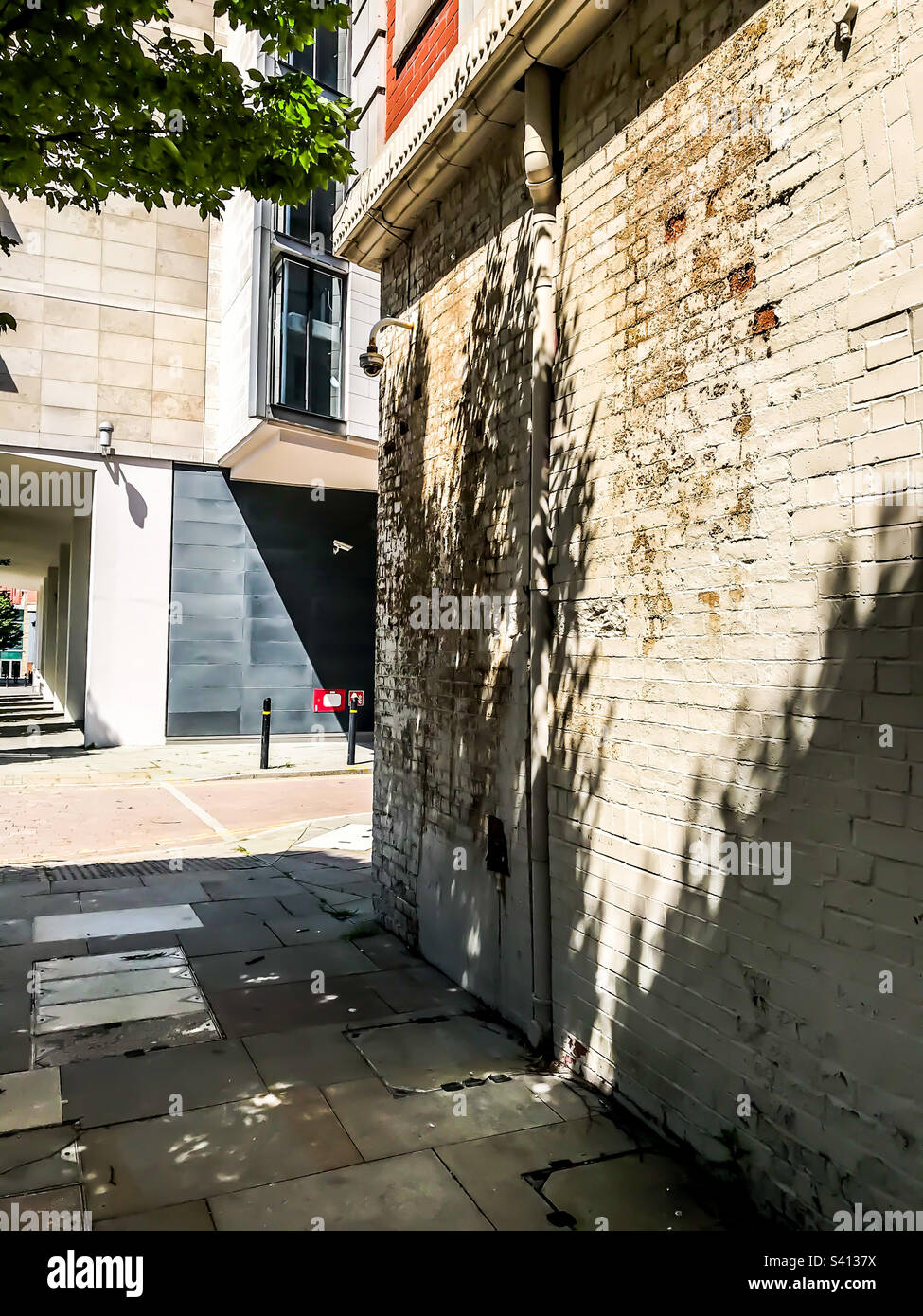 Shadows of a tree on a brick wall Stock Photo