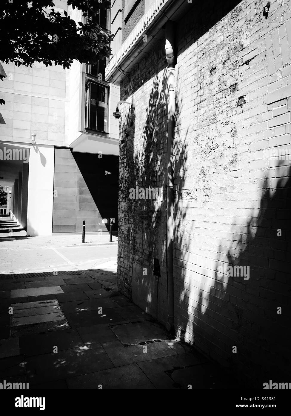 Shadows of a tree on a brick wall - Smartphone Captured Stock Image
