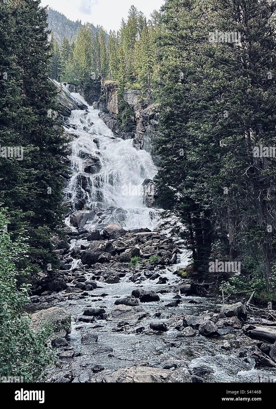 waterfall-on-a-cold-rainy-day-in-evergreen-forest-stock-photo-alamy