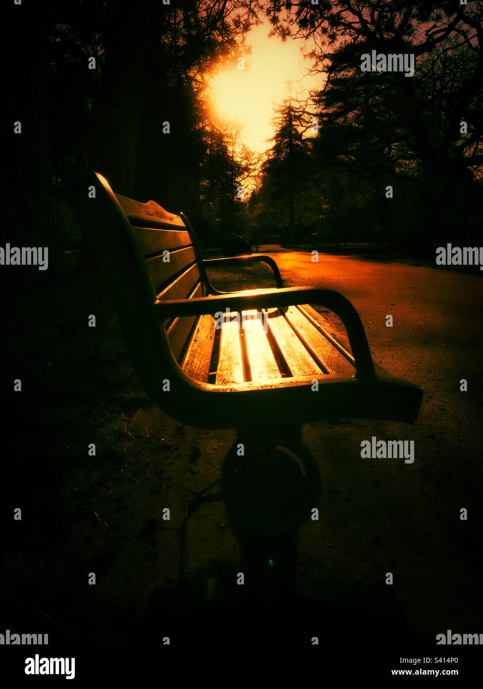 Park bench in the late evening Sun - Smartphone Captured Stock Image