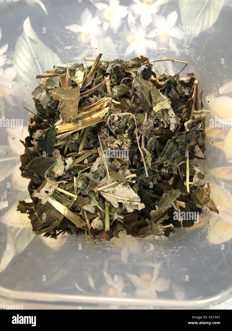 Herbal tea from The Ukrainian Carpathian Mountains Stock Photo