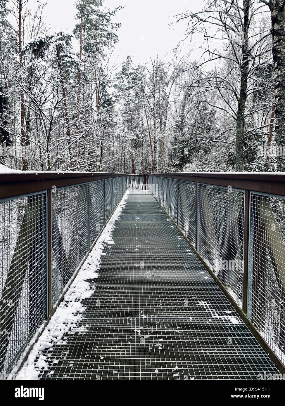 Empty metallic pathway in winter forest Stock Photo