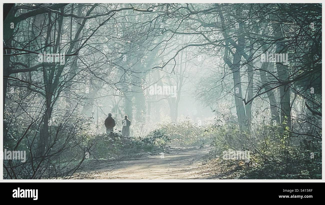 A couple walking in the woods on a misty morning. - Smartphone Captured Stock Image