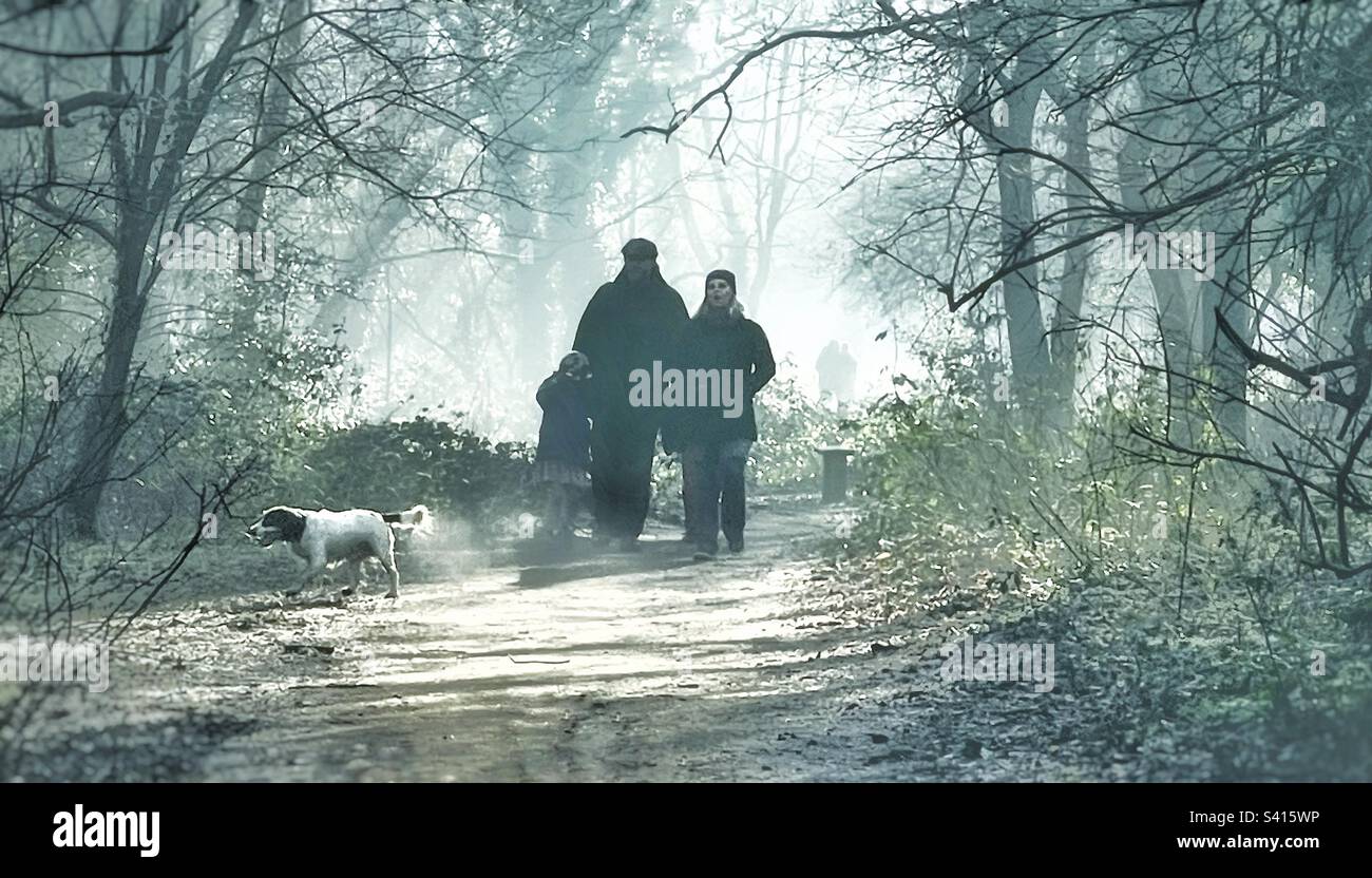 A family walking in the woods. - Smartphone Captured Stock Image
