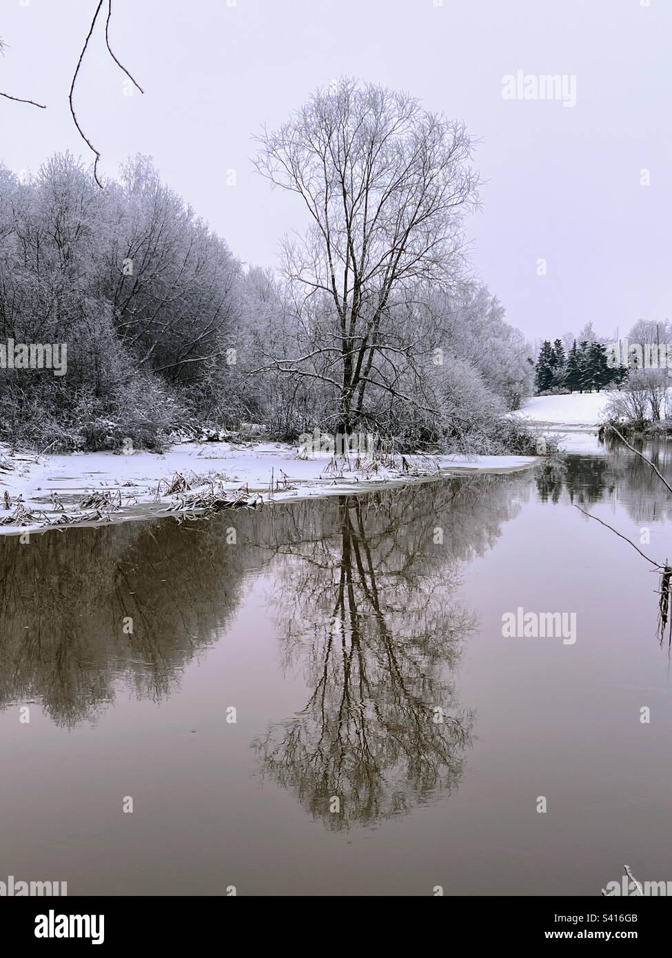 Tranquil still landscape with the trees on the riverbank and reflection in water - Smartphone Captured Stock Image