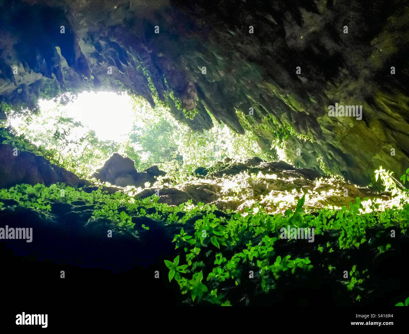 Inside the Cavernas del Río Camuy National Park cave. Stock Photo