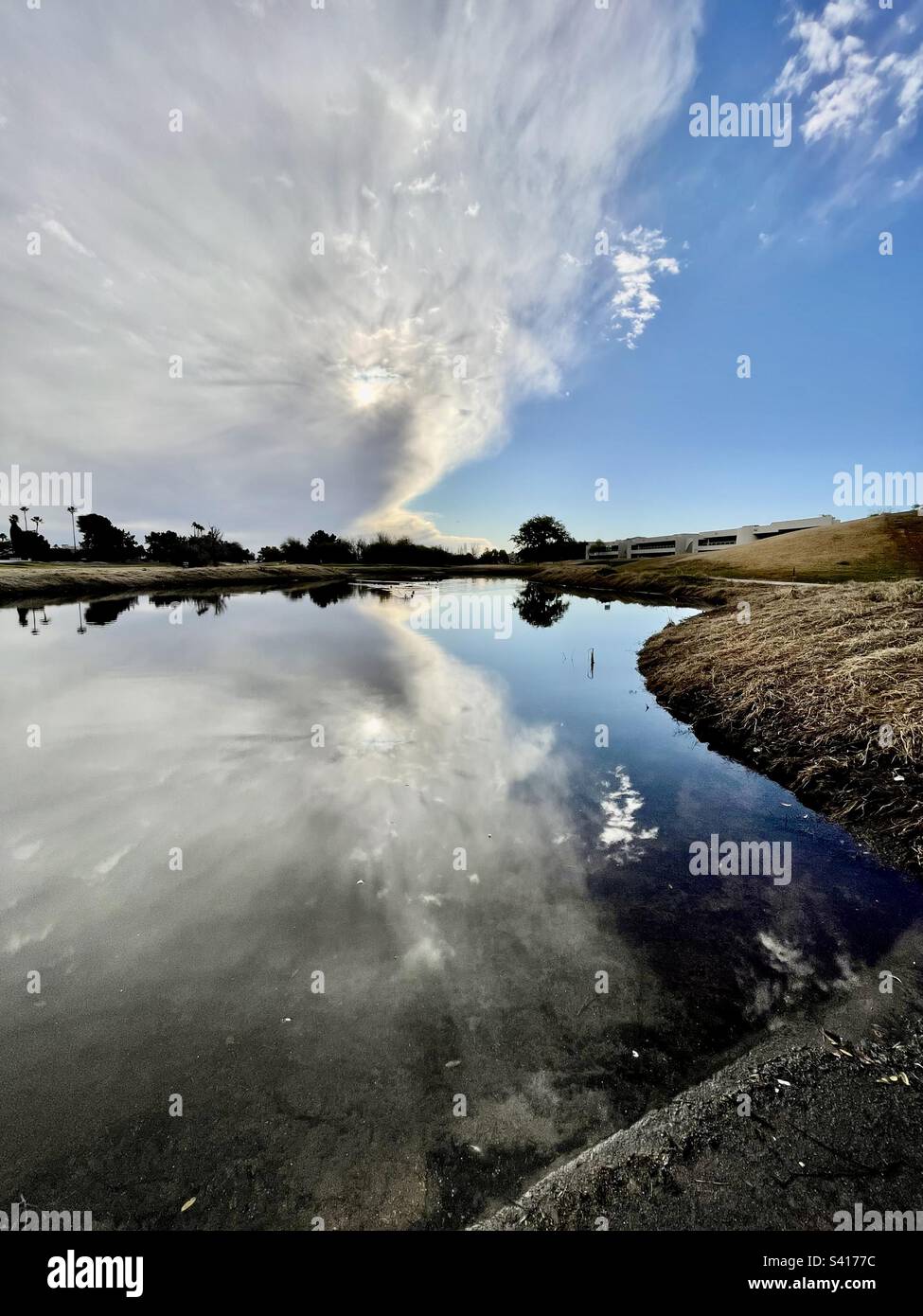 Stark curvilinear golf course pond edge contrasting with fluffy edges of the reflection of the sun battling the pearly clouds of a storm front, Scottsdale, Arizona, rosewood tree reflection on horizon Stock Photo