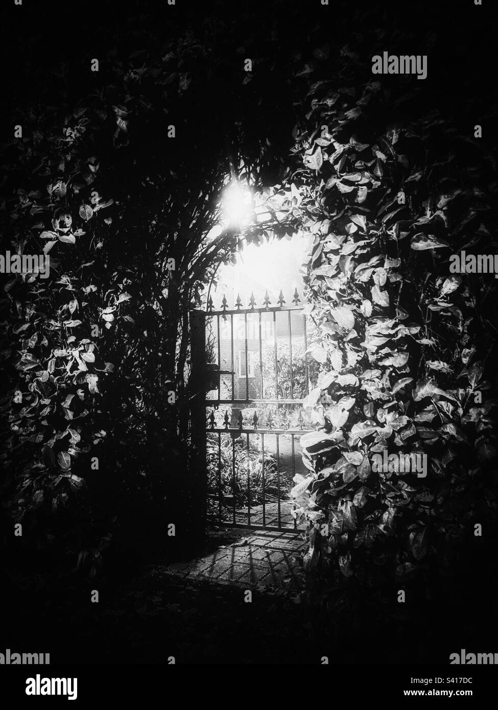 Garden gate Black and White Stock Photos & Images - Alamy