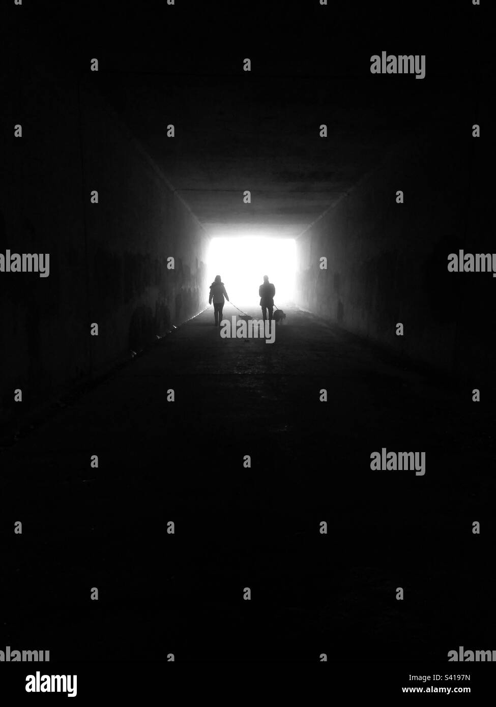 Dog walkers in silhouette - Smartphone Captured Stock Image