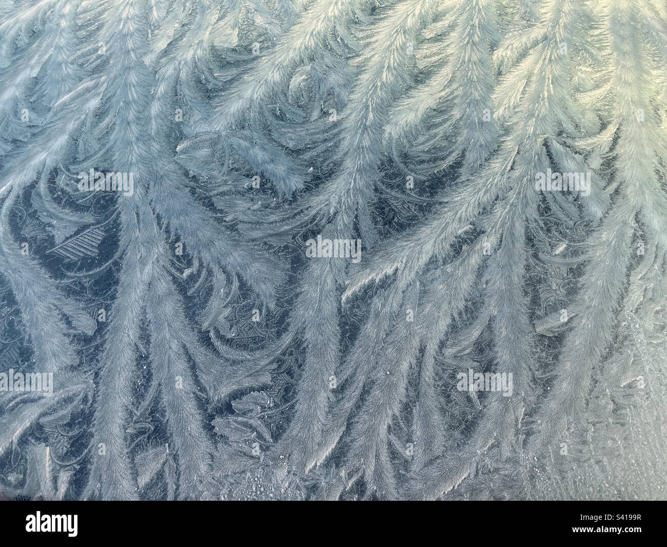 Abstract background, beautiful, natural texture pattern of ice and frost on windscreen glass Stock Photo