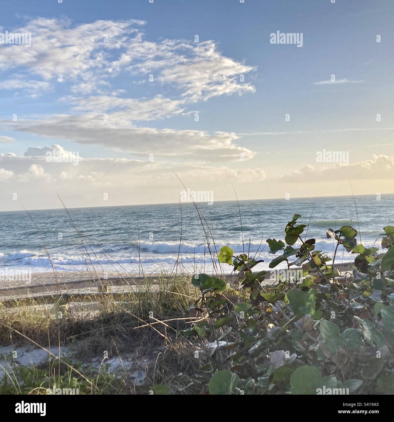 Florida coastline looking over sand dunes. Stock Photo