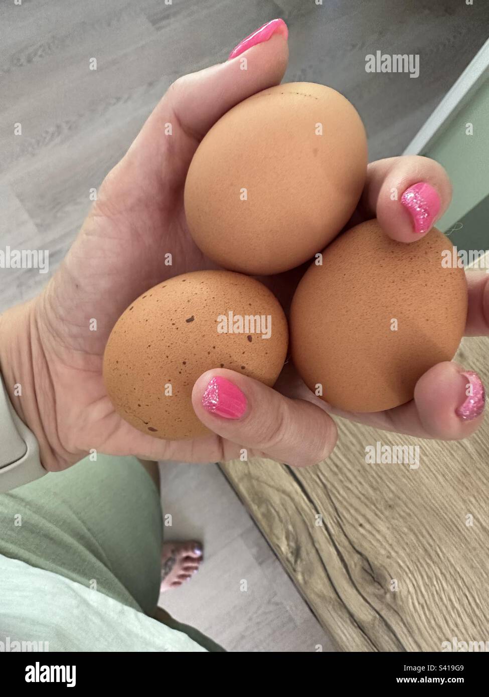 Eggs in hand Stock Photo