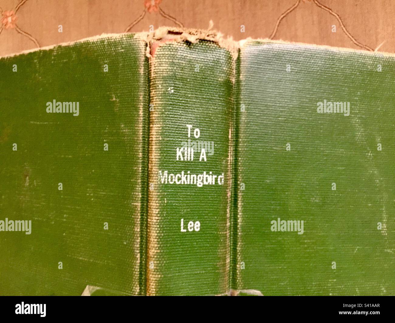 A well-worn Library copy of a literary classic, To Kill a Mockingbird. Favourite old book. Evergreen. Books forever. - Smartphone Captured Stock Image