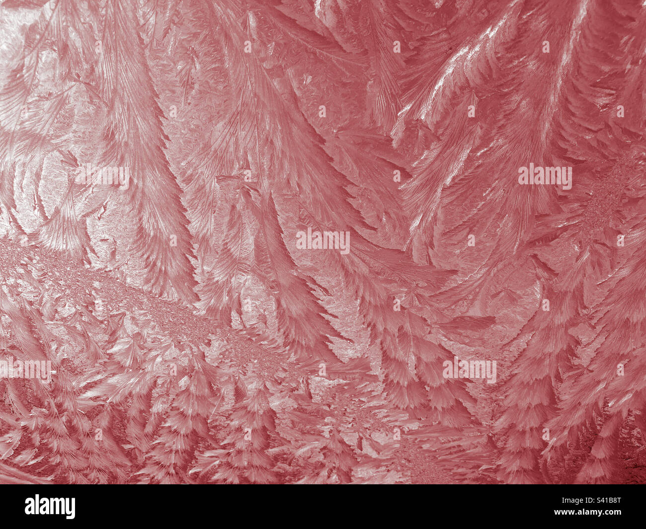 Abstract pink textured background - Smartphone Captured Stock Image