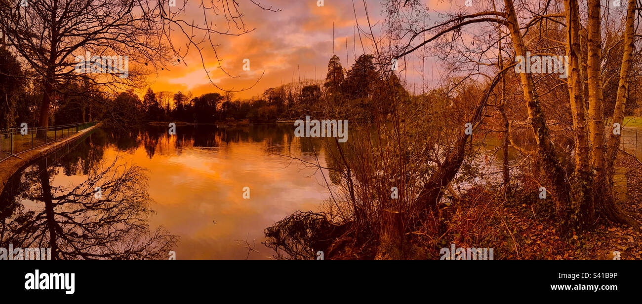 Brynmill park in Swansea, UK at sunset. Orange sky with trees  reflections on the surface of the water. - Smartphone Captured Stock Image