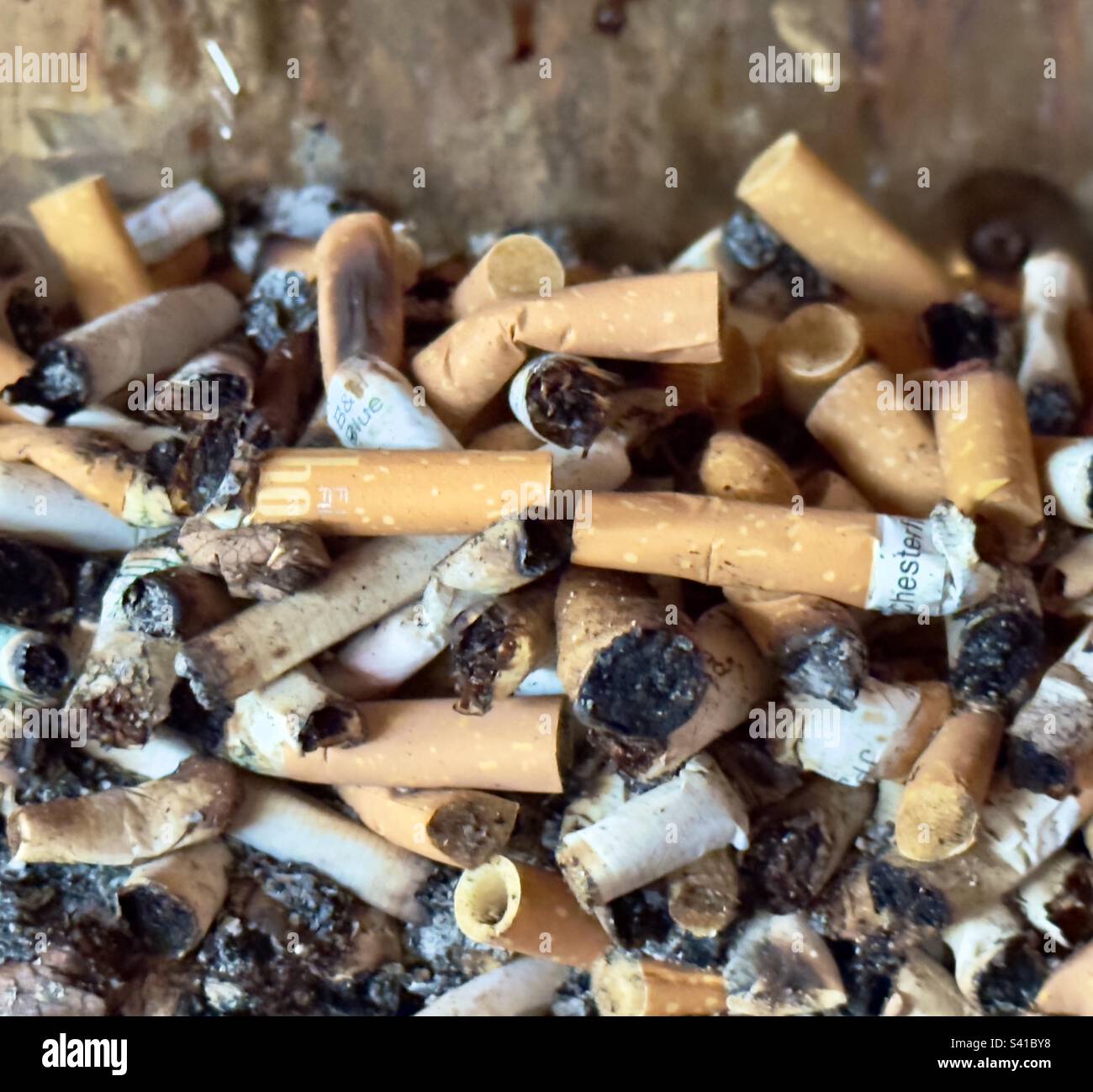 cigarette end 4 letters Cigarette end fag end hi-res stock photography and images