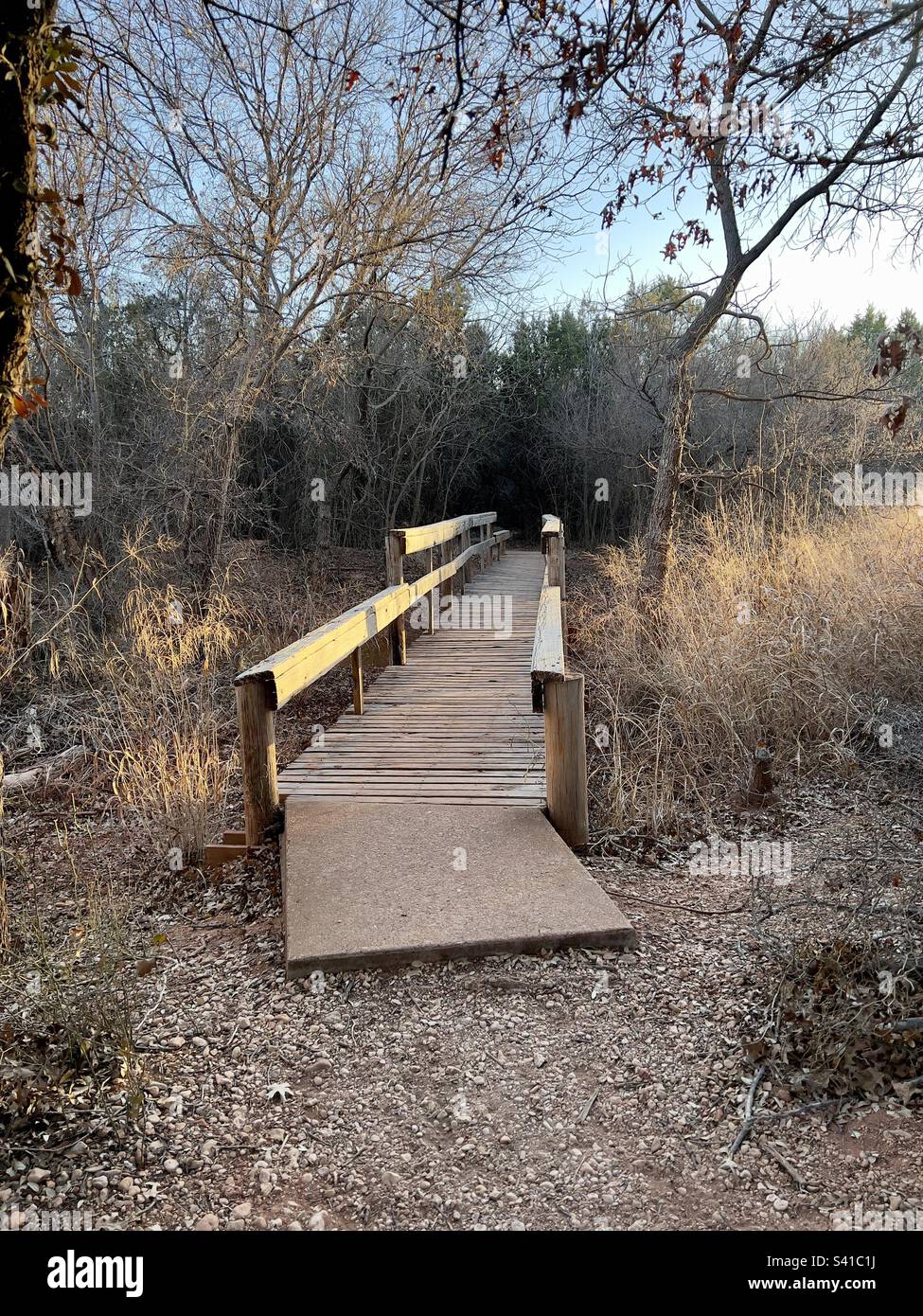 Wooden bridge leading into a nature trail in the Thicket located at
