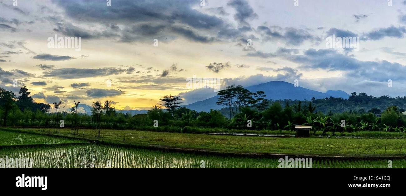 Panoramic view over rice fields of Mt Ungaran and Mt Merapi Volcanos in Central Java Indonesia at Sunset Stock Photo