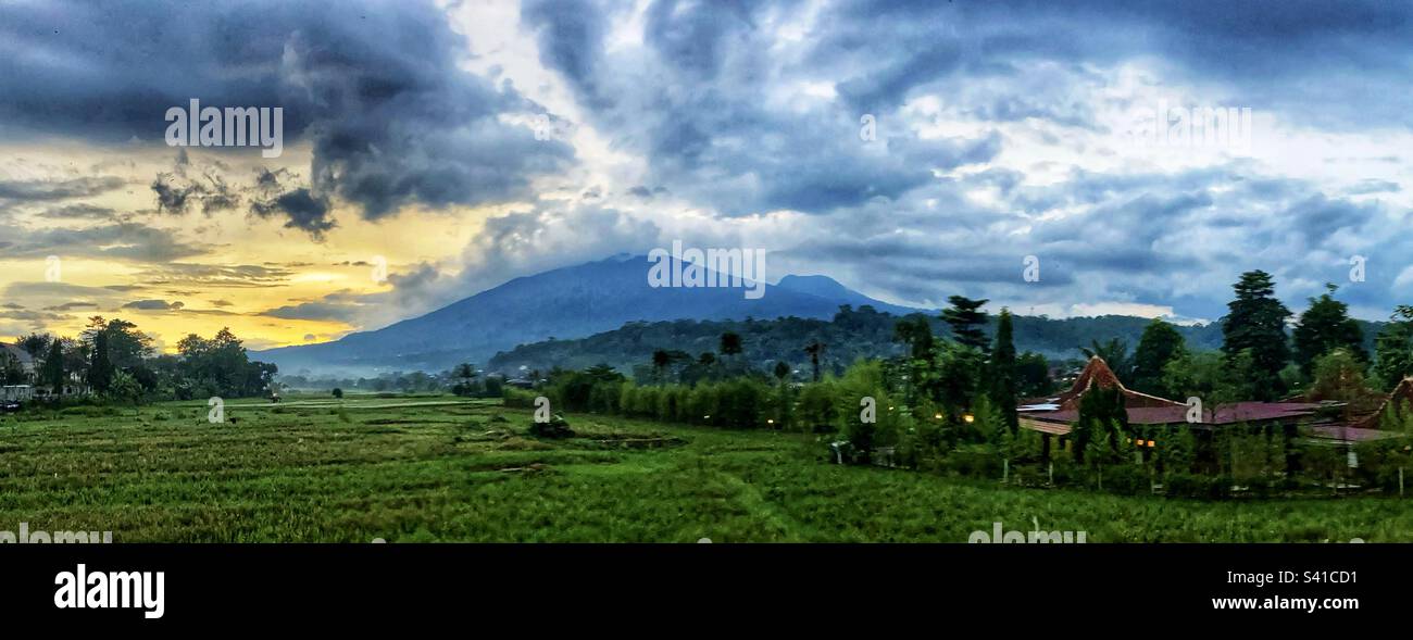 Panoramic view over rice fields of Mt Ungaran  Volcanos in Central Java Indonesia at Sunset - Smartphone Captured Stock Image
